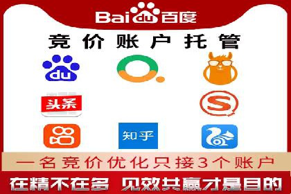 顶级SEM运营公司案例分析